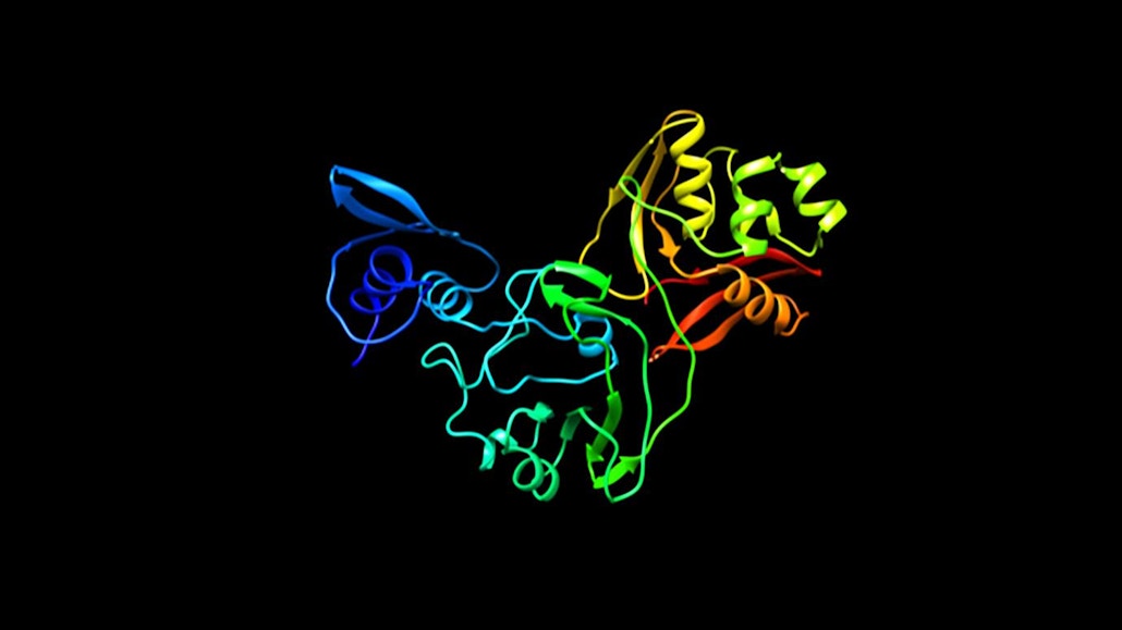covid-19 Three-dimensional modeling of proteins that provided adhesion to the virus began.