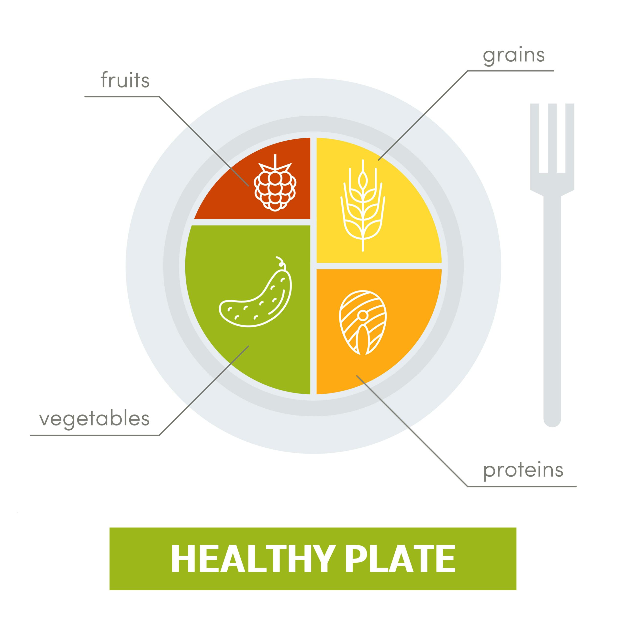 Guide To Building A Balanced Plate Overview - Healthy Eating Plate - Vivoo